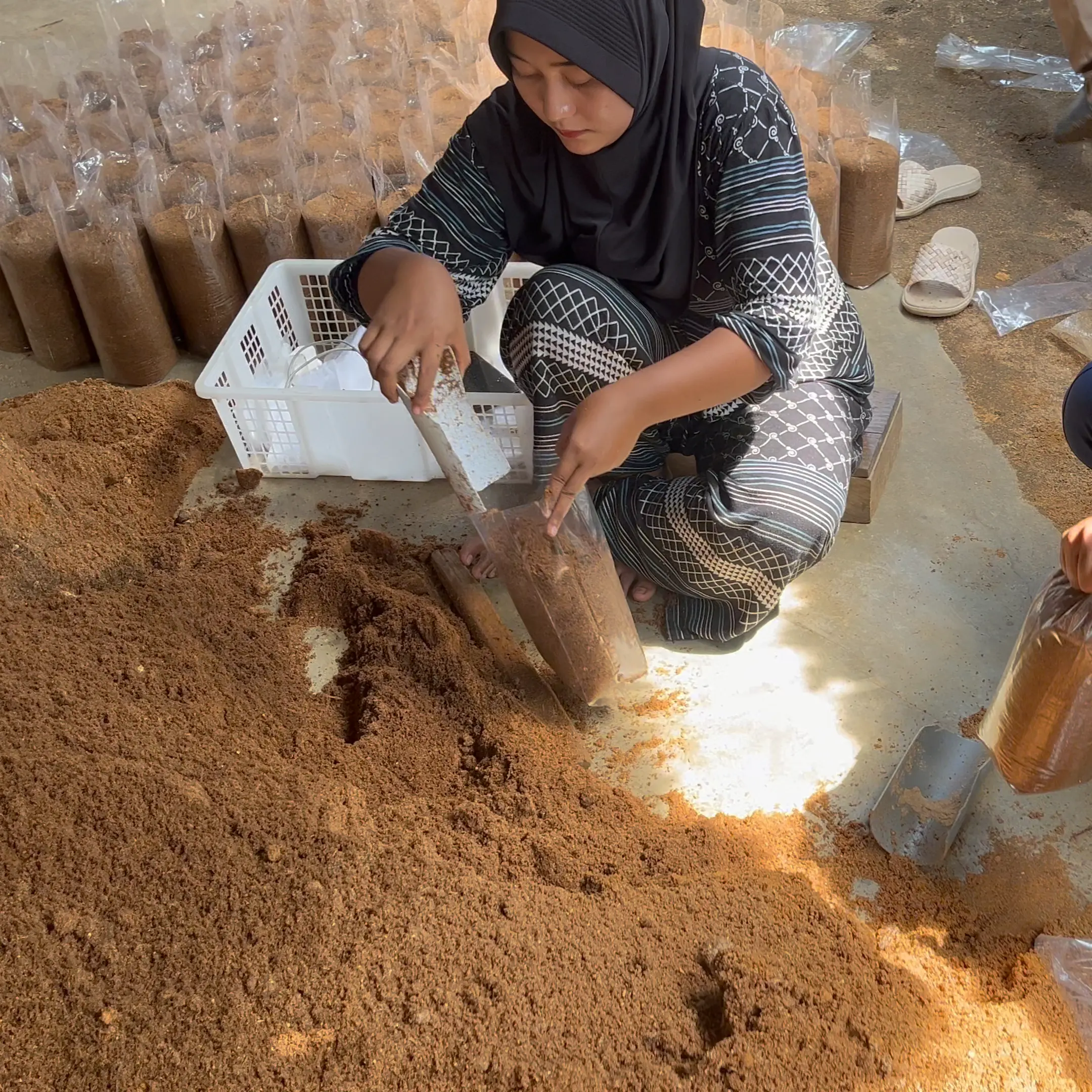 Pengisian Media ke Plastik Baglog